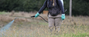 Cover photo for Pesticide CEU Lunch and Learn Series